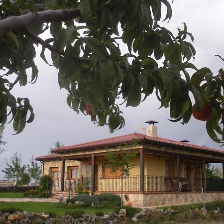 Вілла Casa Rural La Galiana Algora Екстер'єр фото