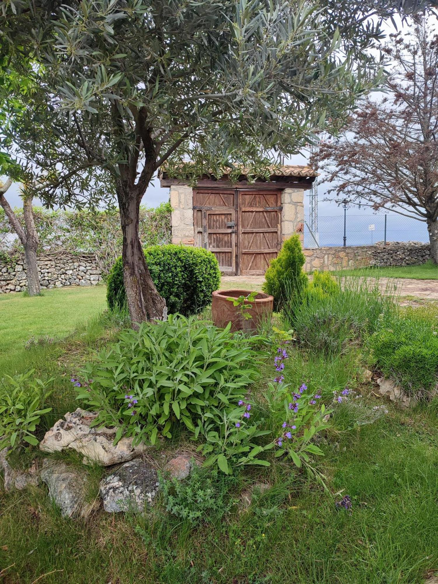 Вілла Casa Rural La Galiana Algora Екстер'єр фото